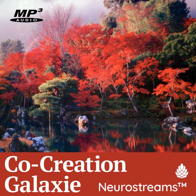 Bonus: Neurostreams „Co-Creation Galaxie“ (Cover)