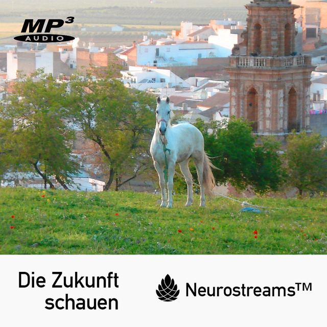 Bonus: Neurostreams „Die Zukunft schauen“ (Cover)
